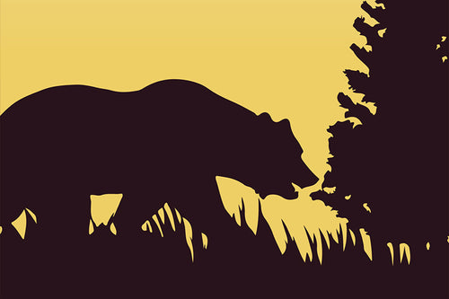 Field Guide 3: Bear