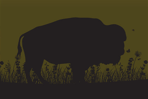 Field Guide 6: Bison