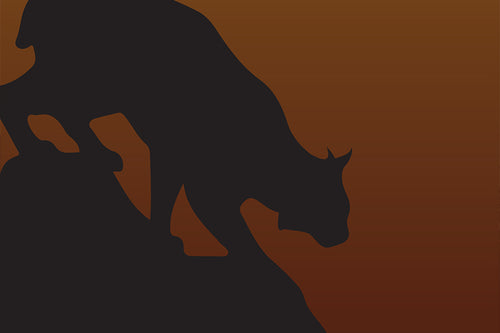 Field Guide 2: Bobcat