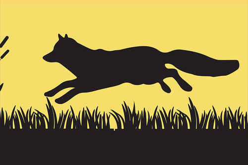 Field Guide 5: Fox