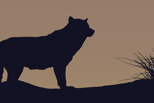 Field Guide 1: Wolf